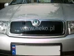 Zimný kryt chladiča SKODA Fabia I. 2000-2007