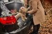 Prémiový guma Gumová vana do kufru TOYOTA Corolla IX E120, E130 kombi 2002-2007 (DZ413047)